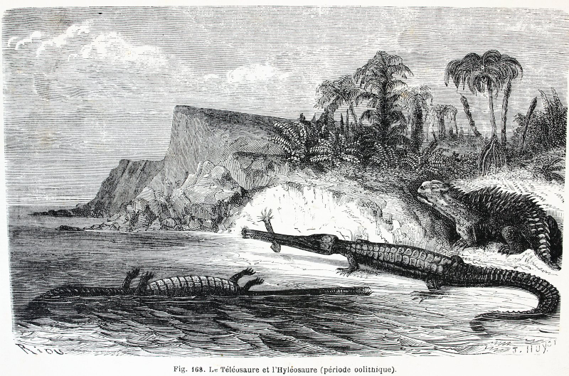 Illustration for article titled Strange 19th Century Drawings of Dinosaurs and Other Extinct Animals